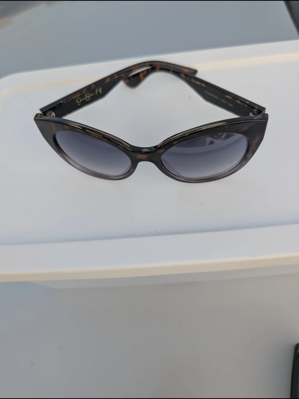 Jessica Simpson stylish cat